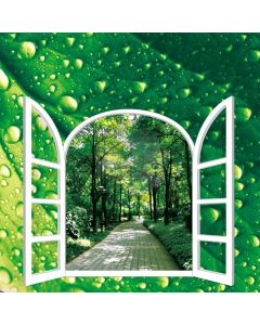 Forest Door Computer Printed Photography Backdrop AUT-586