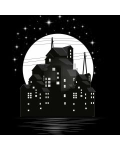 House Star Computer Printed Photography Backdrop AUT-652