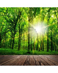 Tree Sun Light Computer Printed Photography Backdrop AUT-715