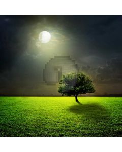 Light Tree Computer Printed Photography Backdrop AUT-738
