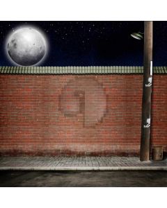 Moon Wall Computer Printed Photography Backdrop AUT-767