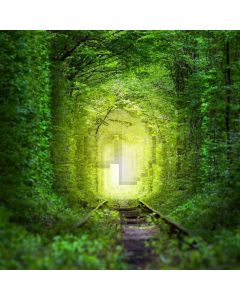 Trail Tree Computer Printed Photography Backdrop AUT-778