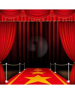 Pillar Carpet Computer Printed Photography Backdrop AUT-792