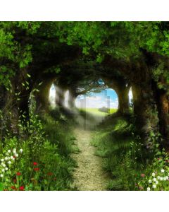 Road Tree Computer Printed Photography Backdrop AUT-810