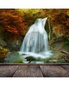 Fall Floor Computer Printed Photography Backdrop AUT-812