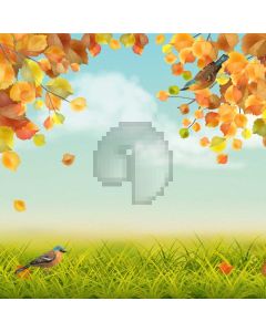 Bird Grass Computer Printed Photography Backdrop AUT-816