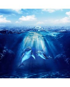 Sea Animal Sky Computer Printed Photography Backdrop AUT-821