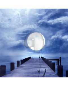 Moon Bridge Computer Printed Photography Backdrop AUT-826