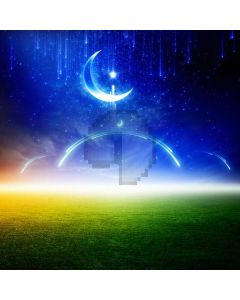 Moon Grass Shooting Star Computer Printed Photography Backdrop AUT-837