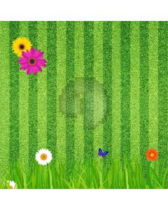 Grassland Butterfly Folwer Computer Printed Photography Backdrop AUT-840