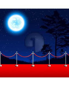 Pillar Moon Carpet Computer Printed Photography Backdrop AUT-842