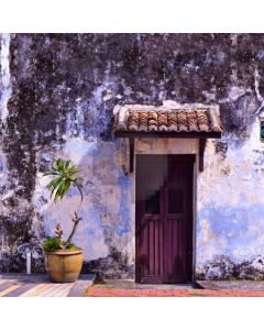 Door House Plant Computer Printed Photography Backdrop AUT-852