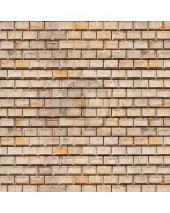 Wall Brick Computer Printed Photography Backdrop AUT-855