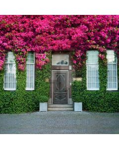 Door Flower Computer Printed Photography Backdrop AUT-921