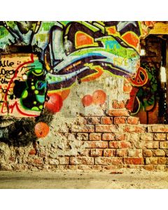 Graffiti Color Computer Printed Photography Backdrop AUT-930