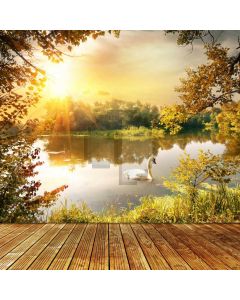 Goose Tree Sunlight Computer Printed Photography Backdrop AUT-931