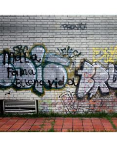 Graffiti Brick Computer Printed Photography Backdrop AUT-935