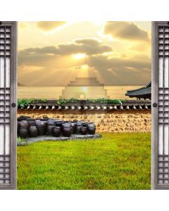 Grass Sunlight Computer Printed Photography Backdrop AUT-945