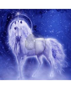 Horse Star Computer Printed Photography Backdrop AUT-946