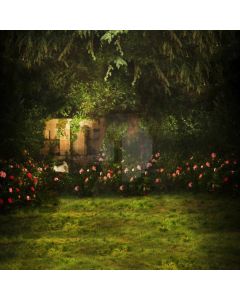 Night Garden Computer Printed Photography Backdrop CM-6753