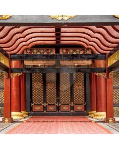 Beautiful Door Computer Printed Photography Backdrop CM-6815