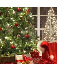 Xmas Presents Computer Printed Photography Backdrop DGX-007