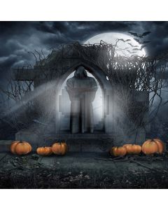 The Darkness Of Death  Computer Printed Photography Backdrop DGX-104