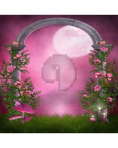 Flower Yard  Computer Printed Photography Backdrop DGX-110
