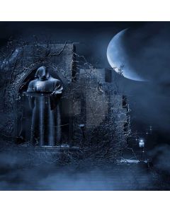 Darkness Death  Computer Printed Photography Backdrop DGX-111