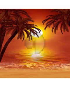 The Sunset Beach  Computer Printed Photography Backdrop DGX-115