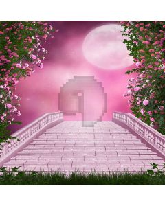 Pink Date  Computer Printed Photography Backdrop DGX-122
