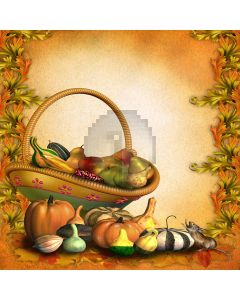 Pumpkin Brothers  Computer Printed Photography Backdrop DGX-127