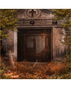 Immemorial Door  Computer Printed Photography Backdrop DGX-136