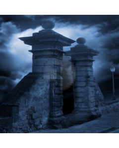 Dark Without Light  Computer Printed Photography Backdrop DGX-140