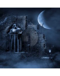 Mysterious One  Computer Printed Photography Backdrop DGX-144