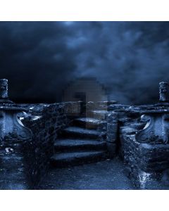 Cold Stair  Computer Printed Photography Backdrop DGX-145