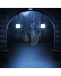 Alone Light  Computer Printed Photography Backdrop DGX-146