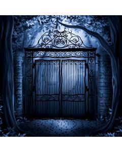 Silence Door  Computer Printed Photography Backdrop DGX-147