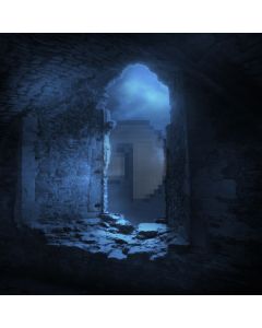 The Ruins  Computer Printed Photography Backdrop DGX-154
