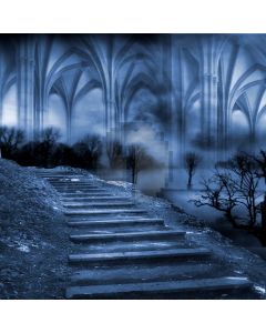 Mysterious Step  Computer Printed Photography Backdrop DGX-155