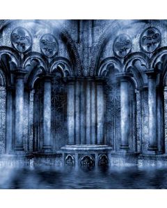 Magic And Cold Door  Computer Printed Photography Backdrop DGX-158