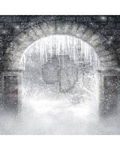 Snow And Ice Cover  Computer Printed Photography Backdrop DGX-162