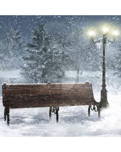 Snowy Night Computer Printed Photography Backdrop DGX-171
