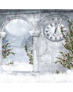 Icicle Door  Computer Printed Photography Backdrop DGX-172
