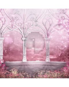 Light Pink  Computer Printed Photography Backdrop DGX-178