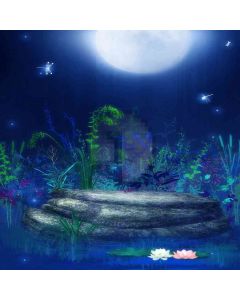 Night Lights  Computer Printed Photography Backdrop DGX-193