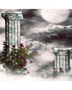 The Cloud Moon  Computer Printed Photography Backdrop DGX-198