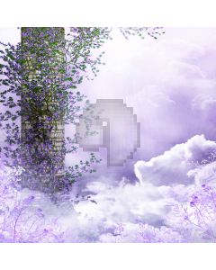 Cloud And Mist  Computer Printed Photography Backdrop DGX-199