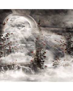 Fairyland  Computer Printed Photography Backdrop DGX-205