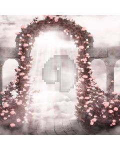 Blossom  Computer Printed Photography Backdrop DGX-206